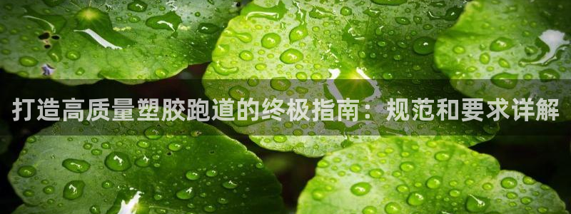 谈球吧官网入口在线观看：打造高质量塑胶跑道的终极指南：规范和要求详解