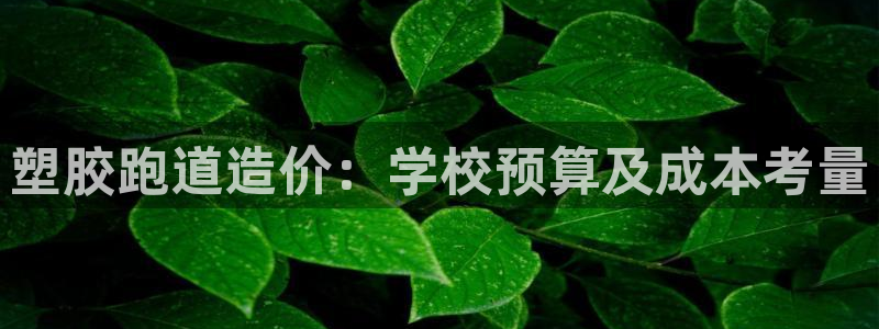 谈球吧体育app下载足球比赛：塑胶跑道造价：学校预算