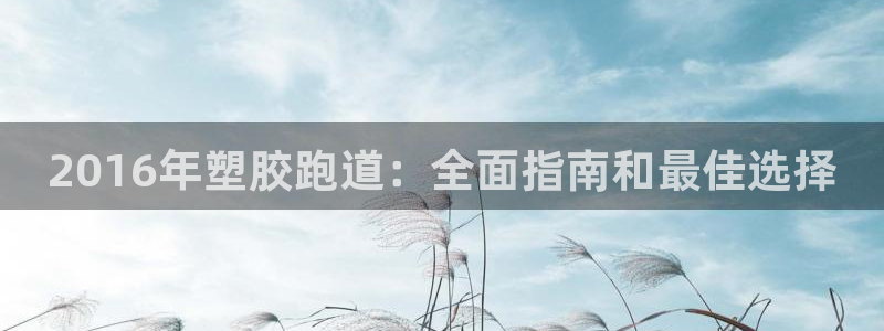 谈球吧体育app下载足球直播视频：2016年塑胶跑道：全面指南和最佳选择